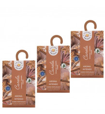 LA CASA DE LOS AROMAS INTENSO Saszetka zapachowa, CYNAMON 100 ml, pakiet 3 opakowań 