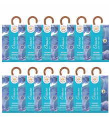LA CASA DE LOS AROMAS INTENSO Saszetka zapachowa, OCEAN 100 ml, pakiet 12 opakowań 2