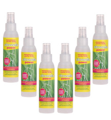 CITRONELLA LA CASA DE LOS AROMAS Mgiełka do ciała o zapachu TRAWY CYTRYNOWEJ 125 ml, pakiet 6 szt.